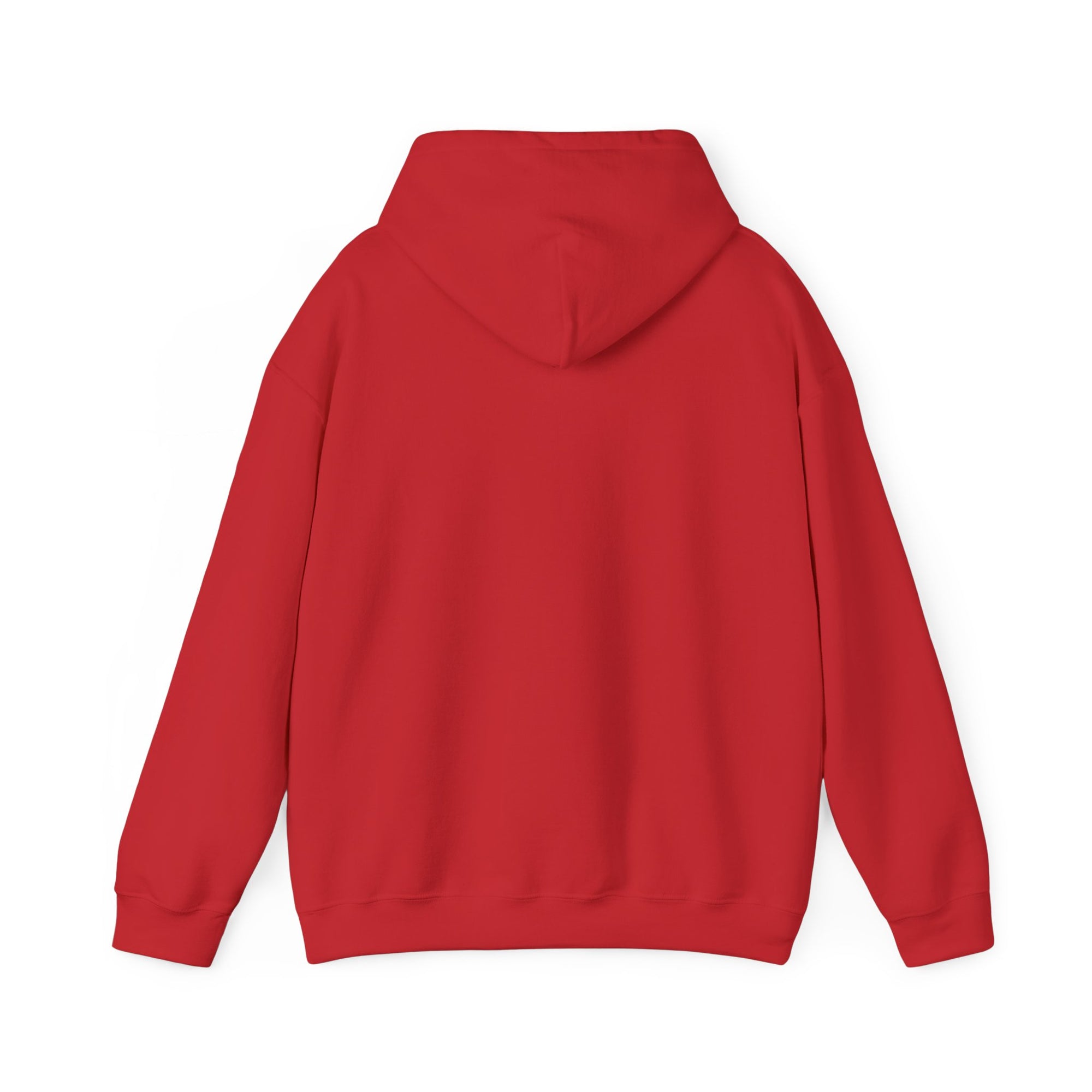 CG5 Project UMove Red Hoodie