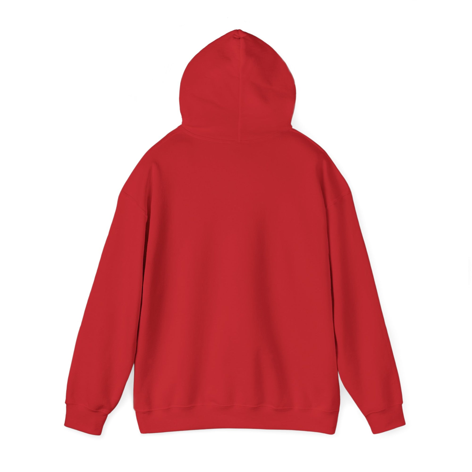 CG5 Project UMove Red Hoodie